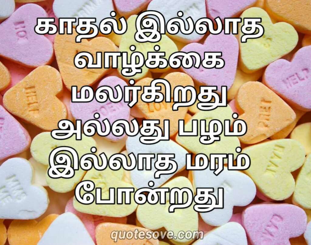 Best Love Quotes in Tamil Express Your Love